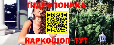 гидропоника Азнакаево