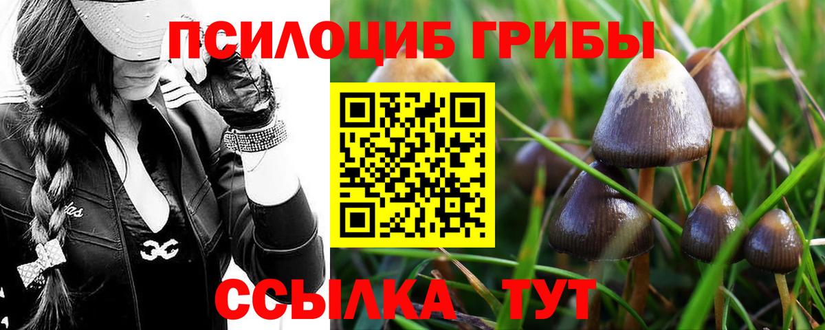 Амурск  Галлюциногенные грибы GOLDEN TEACHER  Вход с VPN 