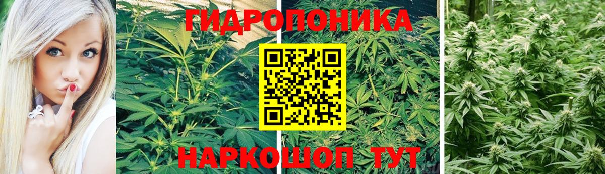 Бошки Шишки индика  Бошки Шишки семена  Амурск  Вход с VPN  Каннабис конопля 